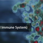 سیستم ایمنی مصنوعی (Artificial Immune System)